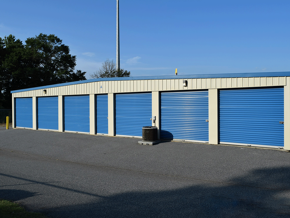 Store photo 5